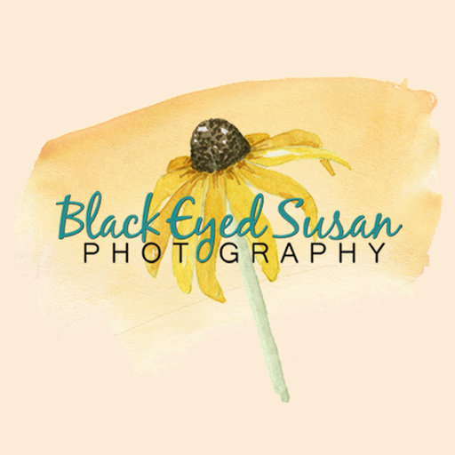 Black Eyed Susan Photography